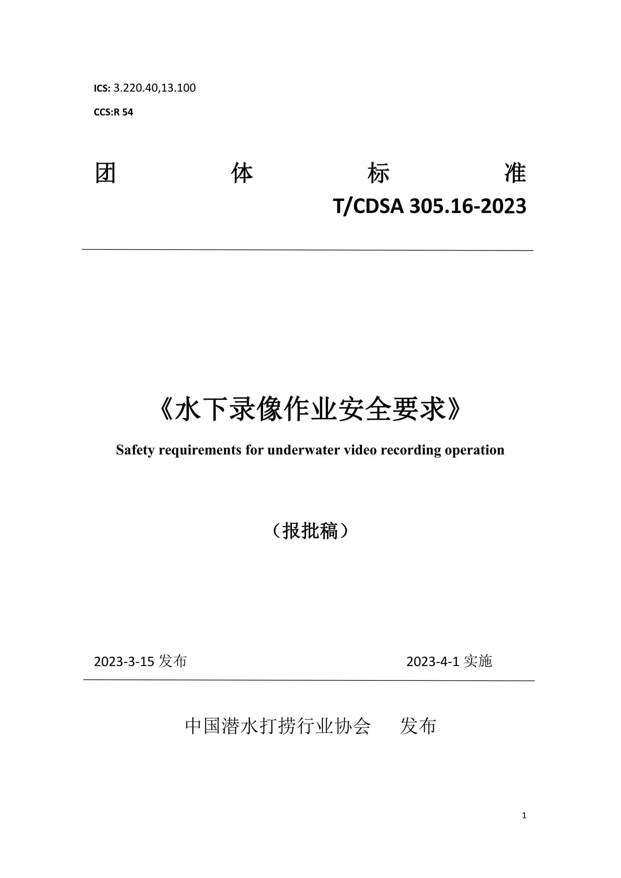 T/CDSA 305.16-2023 水下錄像作業(yè)安全要求